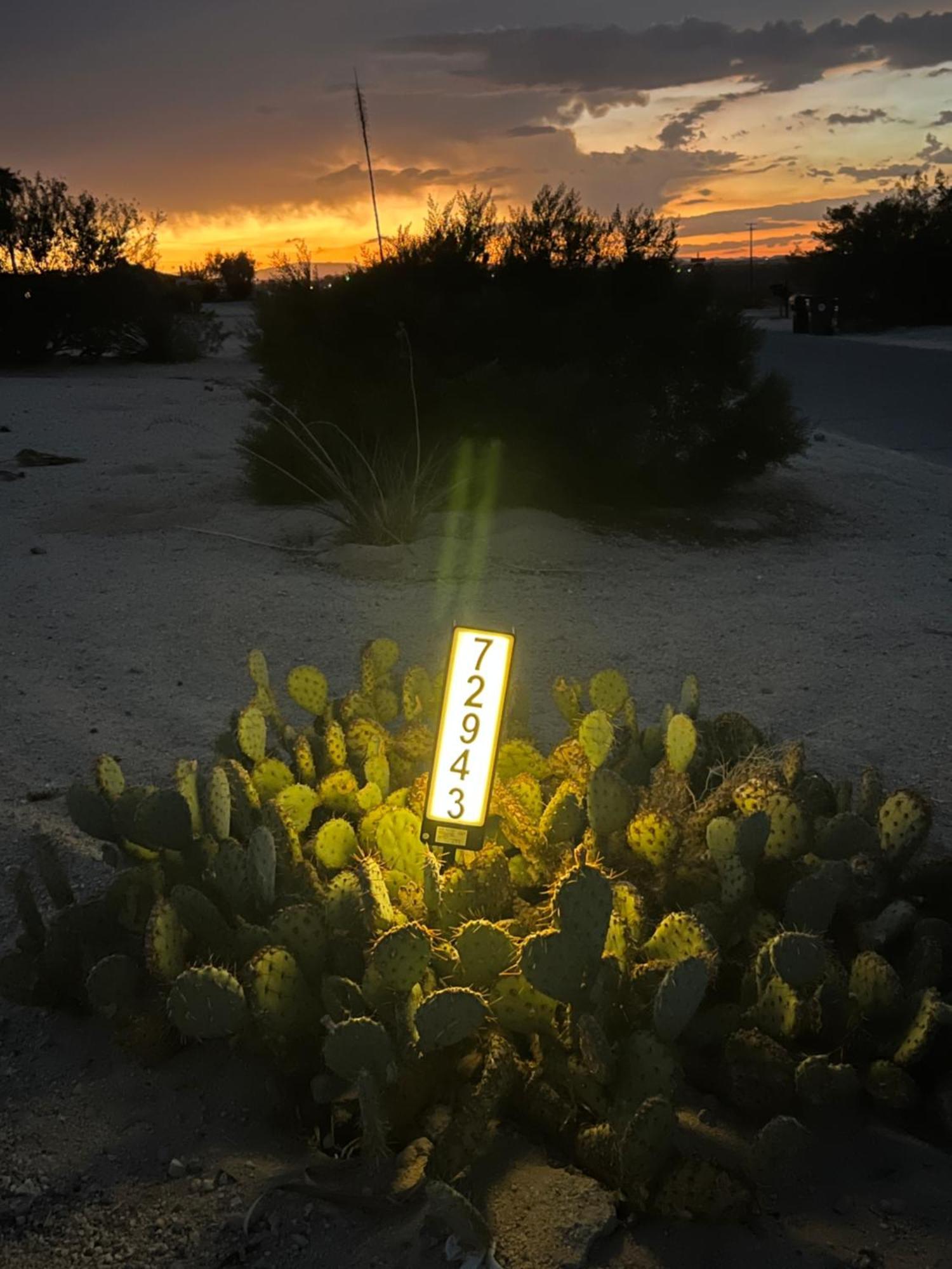 Bodhi House, Joshua Tree National Park Vandrehjem Twentynine Palms Eksteriør billede